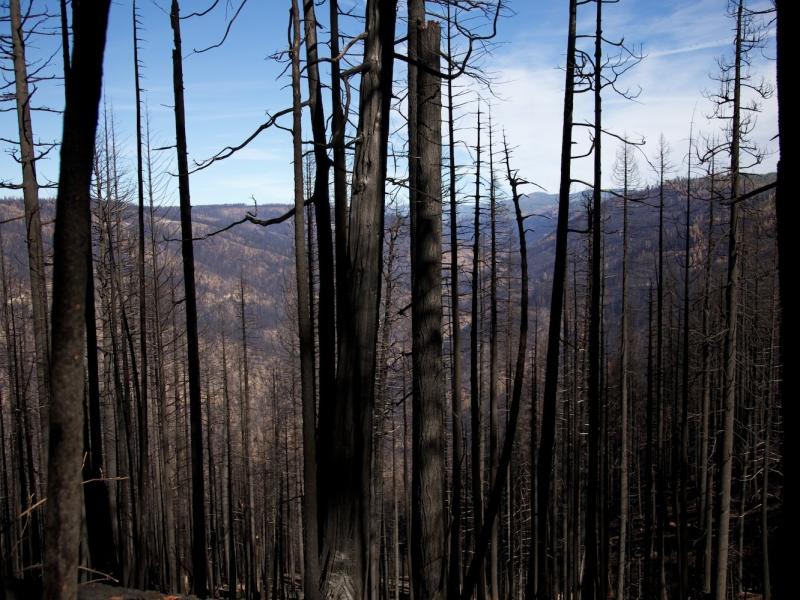The King Fire burned 100,000 acres in the Eldorado National Forest in Northern California — 50,000 of those acres in one day. Now the danger is mudslides. The King Fire burned 100,000 acres in the Eldorado National Forest in Northern California — 50,000 of those acres in one day. Now the danger is mudslides.