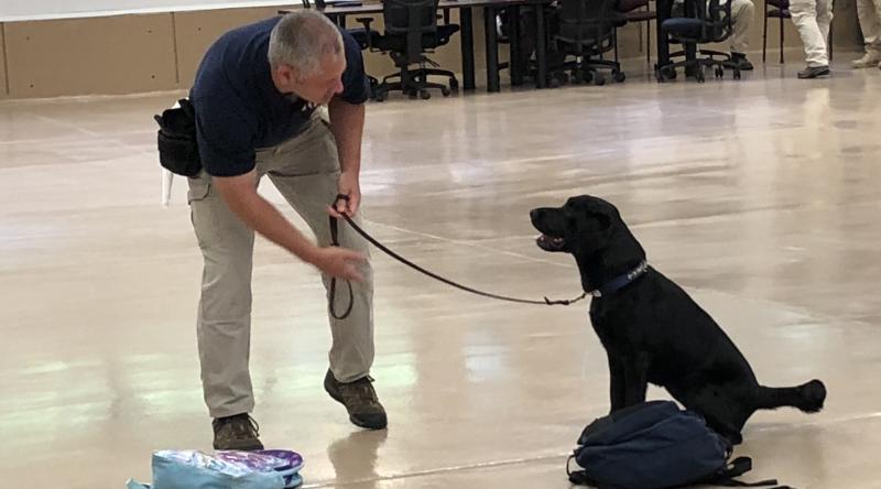 An agent from the Bureau of Alcohol, Tobacco and Firearms trains a sniffer dog at its facility in Front Royal, Va. An agent from the Bureau of Alcohol, Tobacco and Firearms trains a sniffer dog at its facility in Front Royal, Va.