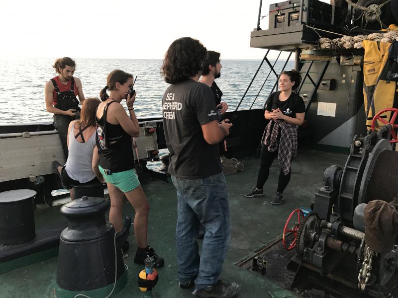 When the sun sets, the crew of the M/V Sam Simon takes to the deck to relax. The crew volunteers come from countries including France, Germany, Australia, the U.K. and Poland. When the sun sets, the crew of the M/V Sam Simon takes to the deck to relax. The crew volunteers come from countries including France, Germany, Australia, the U.K. and Poland.