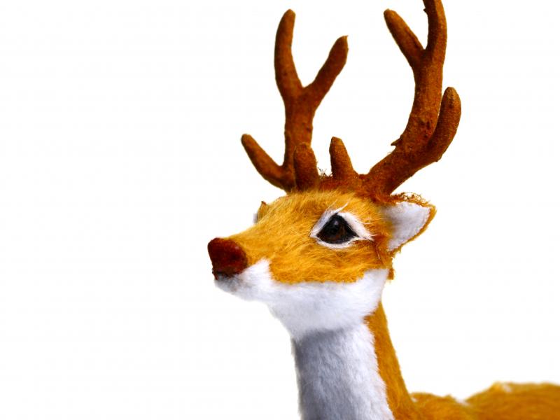 A toy reindeer is shown on a white background. Radio stations, looking to boost ratings and provide comfort in a pandemic-marred year, started playing songs as early as July. And listeners loved it. A toy reindeer is shown on a white background. Radio stations, looking to boost ratings and provide comfort in a pandemic-marred year, started playing songs as early as July. And listeners loved it.