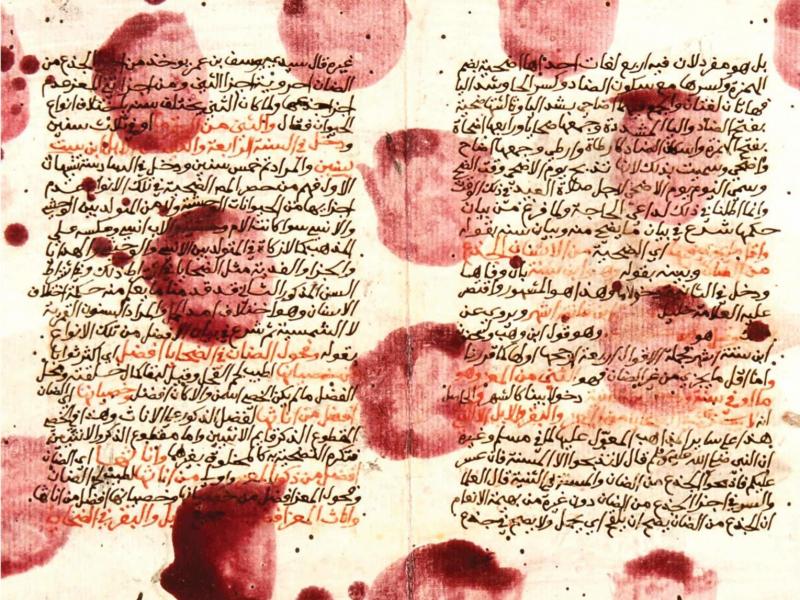 detail from the cover of The Book of Collateral Damage by Sinan Antoon detail from the cover of The Book of Collateral Damage by Sinan Antoon