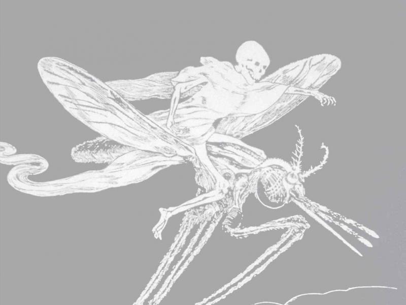 The Mosquito: A Human History of Our Deadliest Predator, by Timothy C. Winegard The Mosquito: A Human History of Our Deadliest Predator, by Timothy C. Winegard
