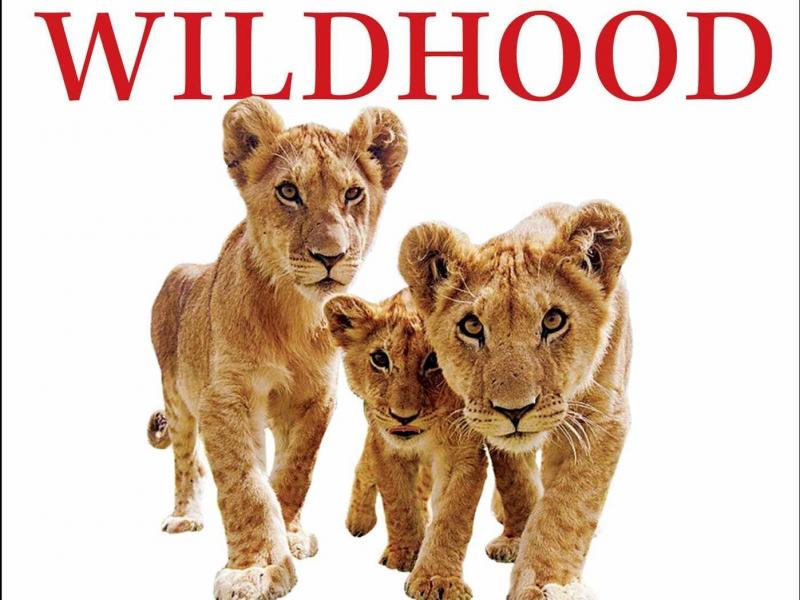 Wildhood: The Epic Journey from Adolescence to Adulthood in Humans and Other Animals, by Barbara Natterson-Horowitz and Kathryn Bowers Wildhood: The Epic Journey from Adolescence to Adulthood in Humans and Other Animals, by Barbara Natterson-Horowitz and Kathryn Bowers