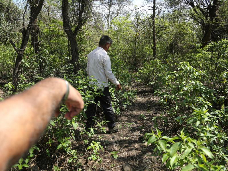 Men walk near the site where the body of an 8-year-old girl who was raped and murdered was found in January. Men walk near the site where the body of an 8-year-old girl who was raped and murdered was found in January.