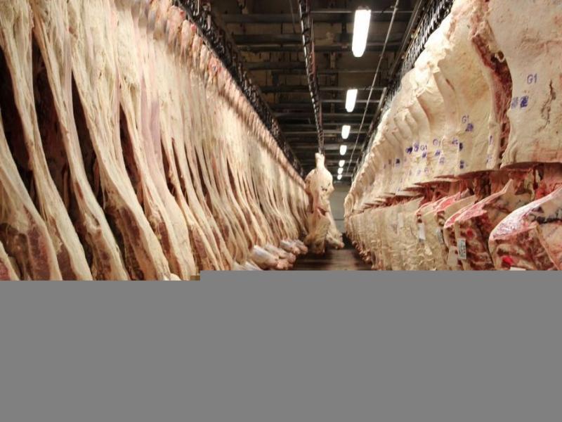 Beef carcasses hang in the sales cooler at the JBS beef plant in Greeley, Colo. Beef carcasses hang in the sales cooler at the JBS beef plant in Greeley, Colo.