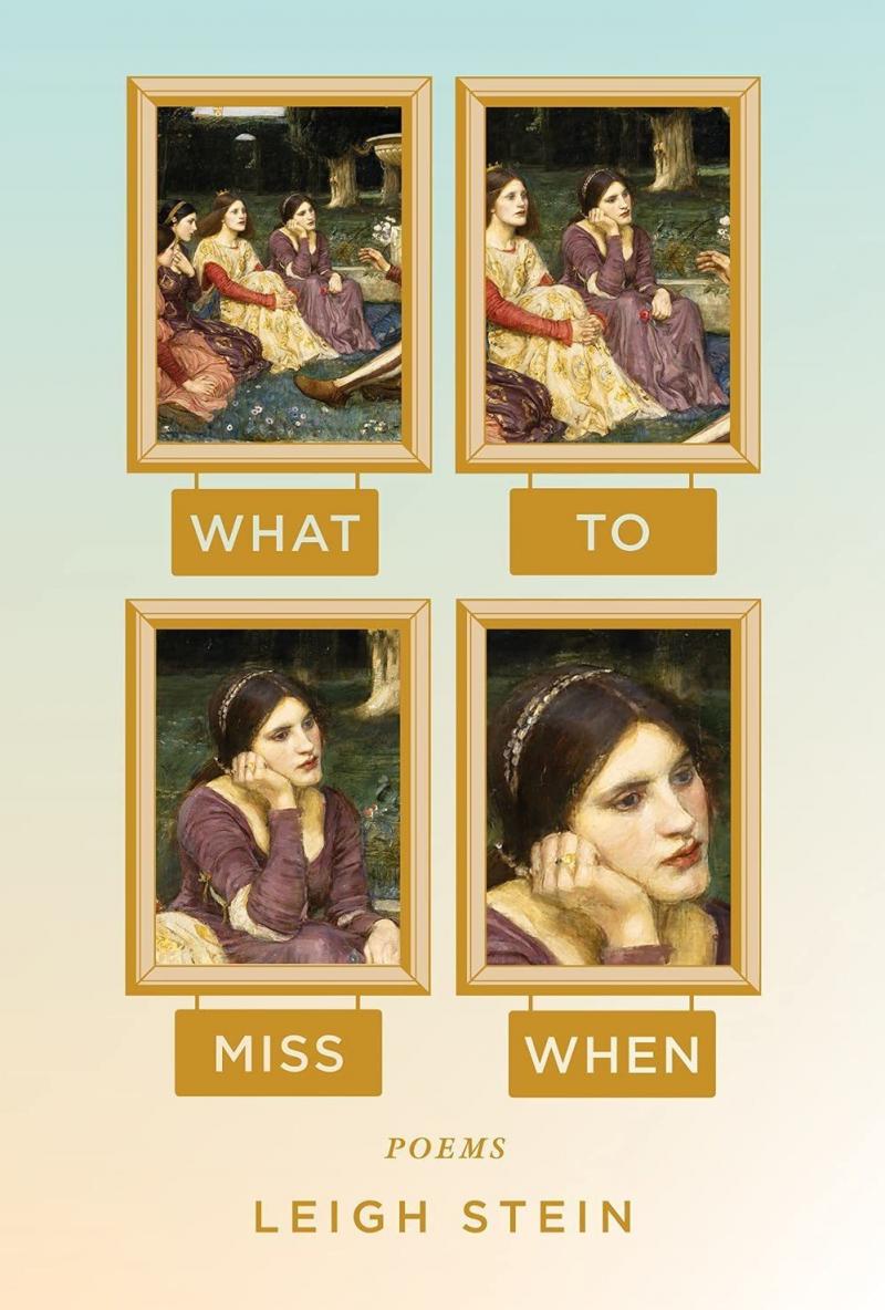 What to Miss When, by Leigh Stein What to Miss When, by Leigh Stein