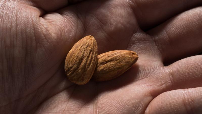 Consider the almond. Consider the almond.