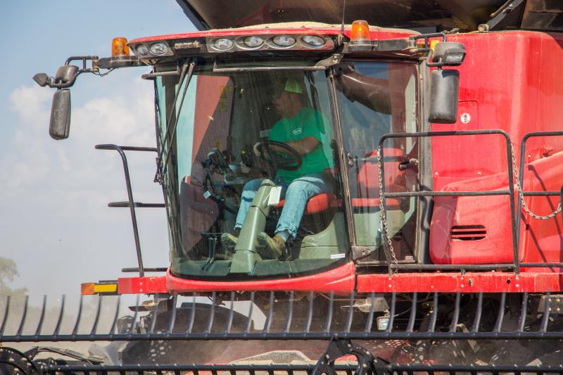 Brent Henderson harvests soybeans on his farm near Weona, Ark., in 2017. That crop showed symptoms of dicamba exposure. Henderson switched to Xtend soybeans the following year, he says, as "insurance" against future damage. Brent Henderson harvests soybeans on his farm near Weona, Ark., in 2017. That crop showed symptoms of dicamba exposure. Henderson switched to Xtend soybeans the following year, he says, as "insurance" against future damage.