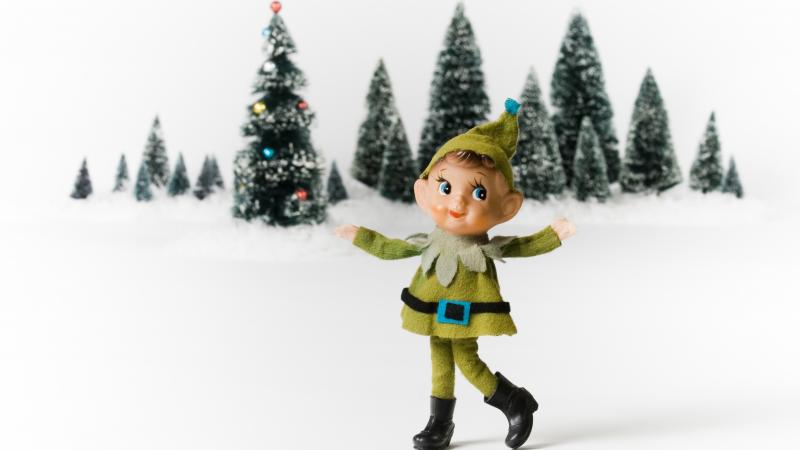 A toy elf near little trees A toy elf near little trees
