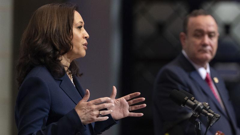 Vice President Harris had what she called "robust" talks with Guatemalan President Alejandro Giammattei. Vice President Harris had what she called "robust" talks with Guatemalan President Alejandro Giammattei.