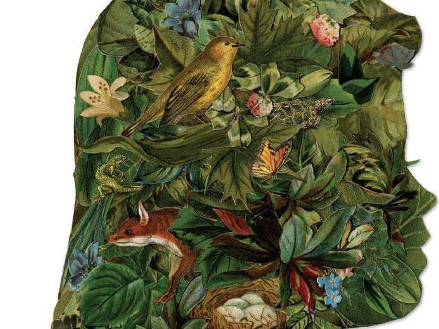 Late Migrations: A Natural History of Love and Loss, by Margaret Renkl Late Migrations: A Natural History of Love and Loss, by Margaret Renkl