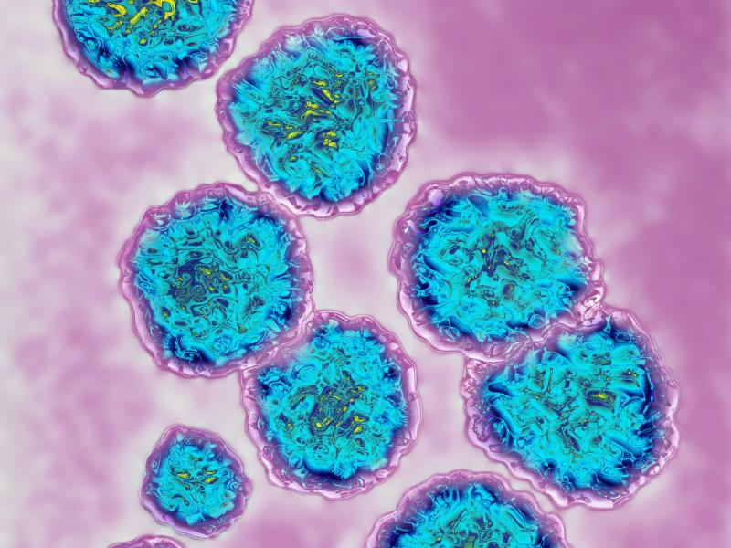 Hepatitis C virus is typically transmitted through blood, but an infected person who spits at someone can run afoul of the law in some jurisdictions. Hepatitis C virus is typically transmitted through blood, but an infected person who spits at someone can run afoul of the law in some jurisdictions.