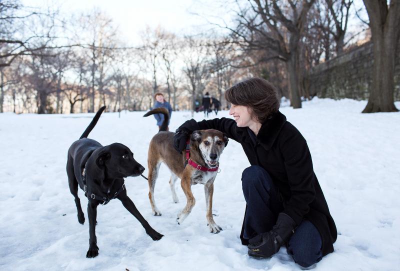 Researcher Alexandra Horowitz plays with her dogs Finnegan and Upton. She studies how dog's sense of smell influences their view of the world. Researcher Alexandra Horowitz plays with her dogs Finnegan and Upton. She studies how dog's sense of smell influences their view of the world.