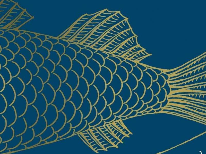 Why Fish Don't Exist: A Story of Loss, Love, and the Hidden Order of Life, by Lulu Miller Why Fish Don't Exist: A Story of Loss, Love, and the Hidden Order of Life, by Lulu Miller