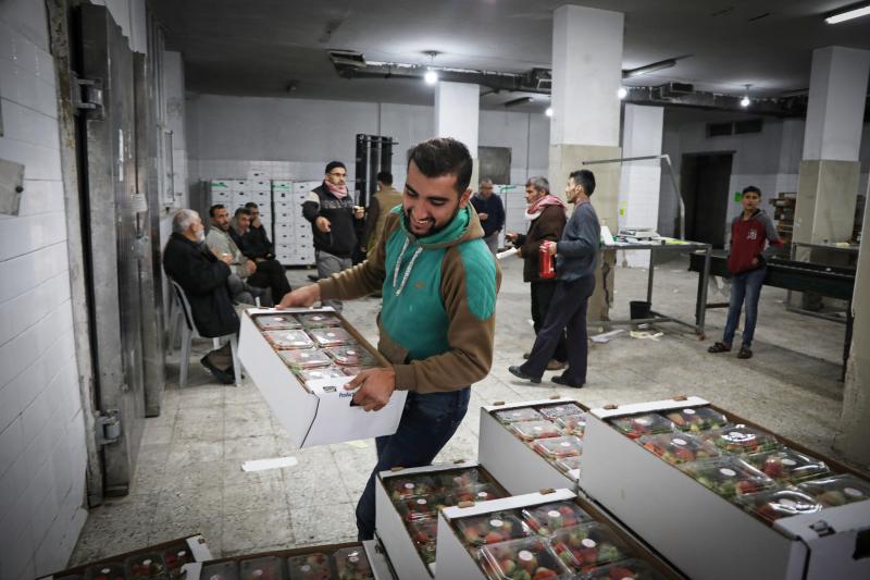 A worker piles boxes of strawberries inside the Ground Berries Association in northern Gaza. An unwritten deal between Israel and Hamas gives Gaza residents more access to jobs, trade and travel. A worker piles boxes of strawberries inside the Ground Berries Association in northern Gaza. An unwritten deal between Israel and Hamas gives Gaza residents more access to jobs, trade and travel.