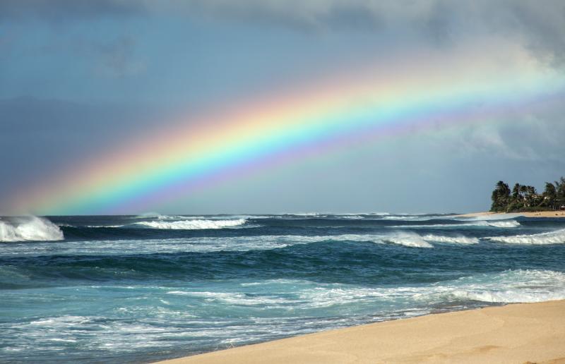 We might all feel a lot better if we saw a view like this, from the North Shore of Oahu, every day. We might all feel a lot better if we saw a view like this, from the North Shore of Oahu, every day.