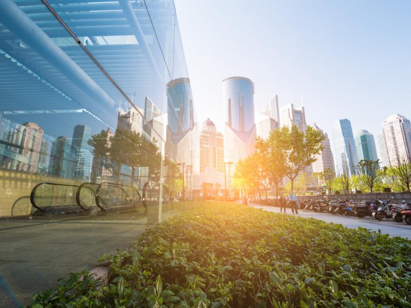 Blind pursuit of wealth and status is not conducive with happiness and sustainability, says guest commentator Randall Curren. Blind pursuit of wealth and status is not conducive with happiness and sustainability, says guest commentator Randall Curren.