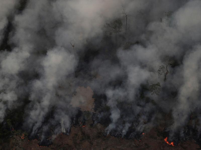 Smoke billows from a fire in an area of the Amazon rainforest near Porto Velho, Brazil, earlier this week. Smoke billows from a fire in an area of the Amazon rainforest near Porto Velho, Brazil, earlier this week.