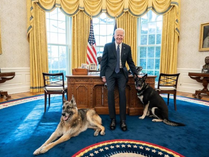 Major, pictured on the right, was reportedly spooked by someone on Monday and allegedly "nipped" at them. White House officials said a doctor was called but no further treatment was needed. Major, pictured on the right, was reportedly spooked by someone on Monday and allegedly "nipped" at them. White House officials said a doctor was called but no further treatment was needed.