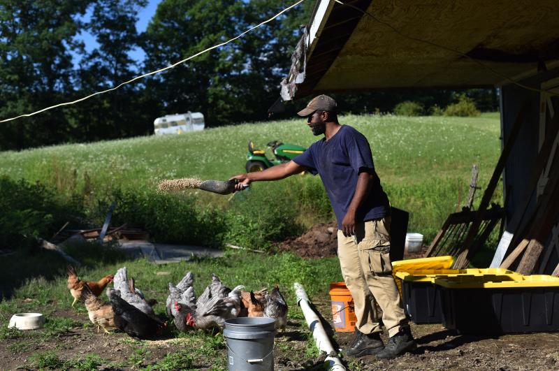 Daryl Minton, 45, throws chicken feed into a yard where the chickens roam at the Triple J Farm in Windsor, N.Y. Minton lives and works on the farm his grandfather, James Minton, bought it a decade ago. Between lending discrimination and rising costs, many Daryl Minton, 45, throws chicken feed into a yard where the chickens roam at the Triple J Farm in Windsor, N.Y. Minton lives and works on the farm his grandfather, James Minton, bought it a decade ago. Between lending discrimination and rising costs, many