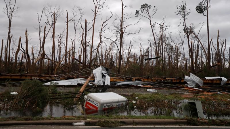 Downed power lines, shredded trees, derailed train cars and a sunken trailer are seen Wednesday in the aftermath of Hurricane Michael in Panama City, Fla. Downed power lines, shredded trees, derailed train cars and a sunken trailer are seen Wednesday in the aftermath of Hurricane Michael in Panama City, Fla.