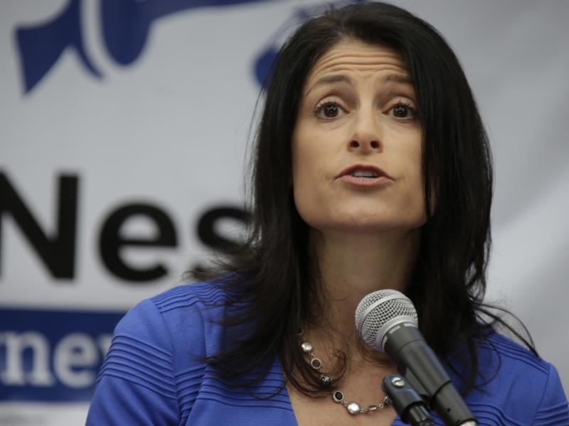 Dana Nessel announcing her bid for Michigan attorney general in 2017. Dana Nessel announcing her bid for Michigan attorney general in 2017.