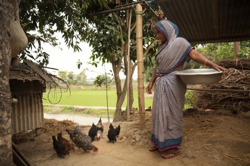 Tobiron Nessa, 45, is the only member of her immediate family whom the Indian government recognizes as a citizen. Her husband and five children have all been left off the National Register of Citizens even though she says all have Indian birth certificate Tobiron Nessa, 45, is the only member of her immediate family whom the Indian government recognizes as a citizen. Her husband and five children have all been left off the National Register of Citizens even though she says all have Indian birth certificate