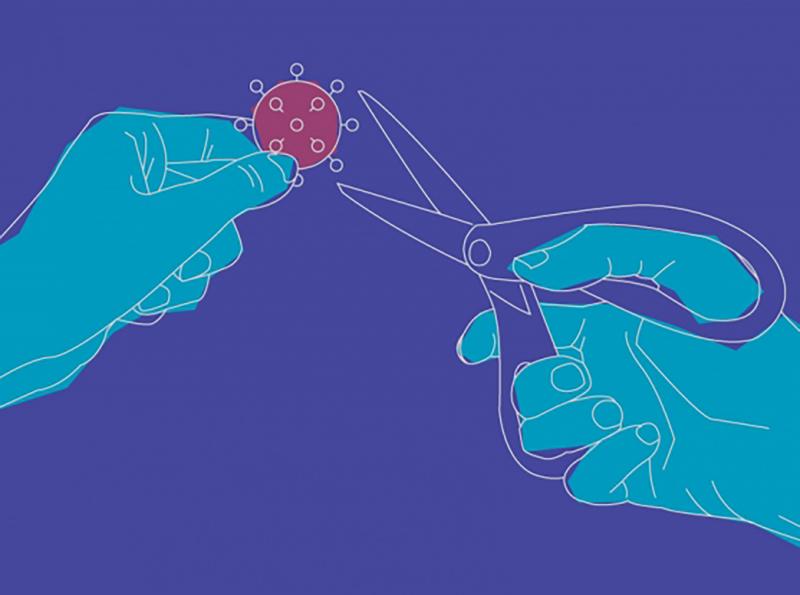 A stylized illustration representing how CRISPR targets the ability of a virus to replicate. A stylized illustration representing how CRISPR targets the ability of a virus to replicate.