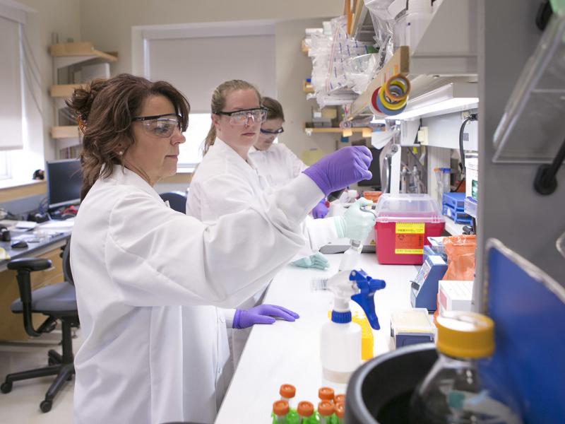 Cat Lutz (far left) in her lab at the Jackson Laboratory Mouse Repository. Cat Lutz (far left) in her lab at the Jackson Laboratory Mouse Repository.