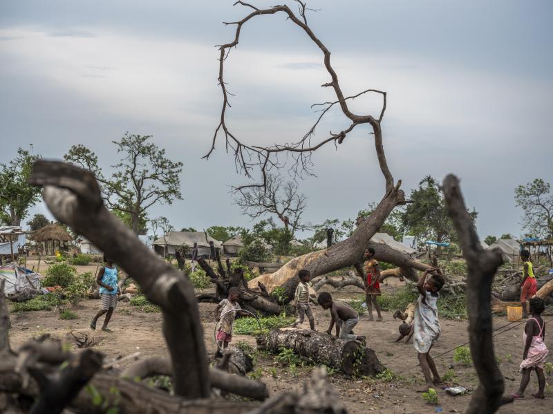 Children play around trees downed by Cyclone Idai at the Guara Guara resettlement site in Mozambique, where thousands of people are still living more than nine months after the storm. Children play around trees downed by Cyclone Idai at the Guara Guara resettlement site in Mozambique, where thousands of people are still living more than nine months after the storm.