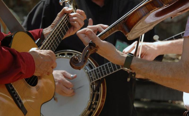 Difference between guitar and banjo (Guitar vs banjo)