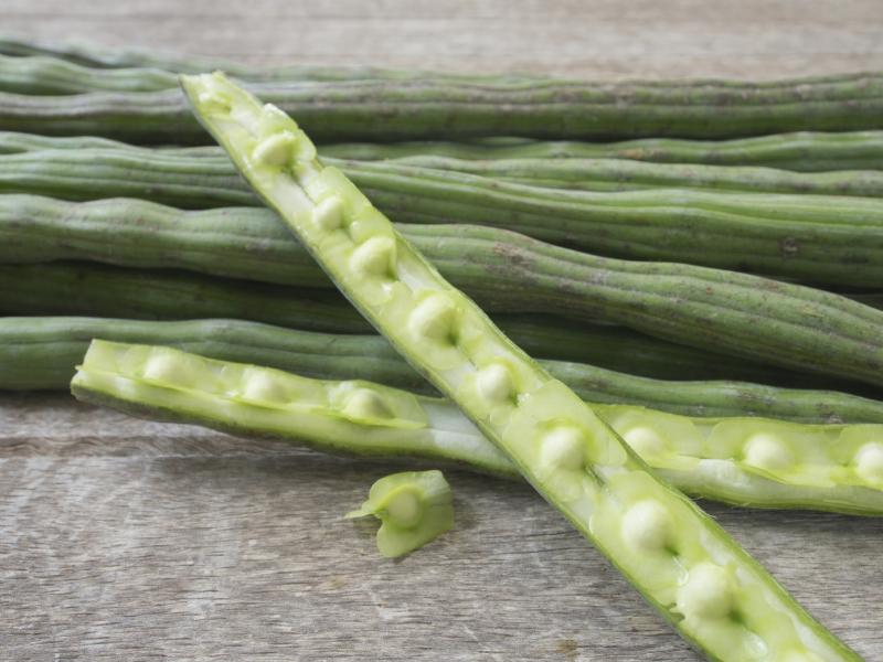 The seeds of pods from the moringa tree taste like green beans, only sweeter. And they're good for you, too. The seeds of pods from the moringa tree taste like green beans, only sweeter. And they're good for you, too.