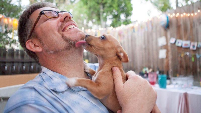 A man laughs as a puppy licks his face. A man laughs as a puppy licks his face.