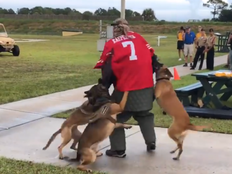 A screenshot of a video posted on Twitter by Billy Corben shows a K-9 demonstration with a man wearing a Colin Kaepernick jersey. A screenshot of a video posted on Twitter by Billy Corben shows a K-9 demonstration with a man wearing a Colin Kaepernick jersey.
