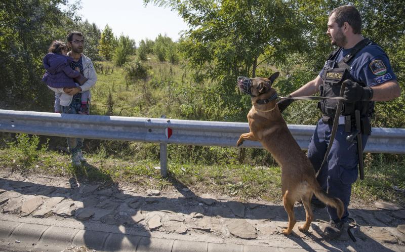 A man is confronted by a Hungarian police officer with a dog as he holds his daughter in an area where migrants ran over a motorway from a collection point set up to transport people to camps in Morahalom, Hungary, Wednesday. A man is confronted by a Hungarian police officer with a dog as he holds his daughter in an area where migrants ran over a motorway from a collection point set up to transport people to camps in Morahalom, Hungary, Wednesday.