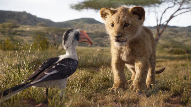 A sophisticated mix of digital imagery and virtual-reality techniques give Disney's Lion King remake the feel of a live-action film. The result plays like a Hollywood blockbuster disguised as a National Geographic documentary. A sophisticated mix of digital imagery and virtual-reality techniques give Disney's Lion King remake the feel of a live-action film. The result plays like a Hollywood blockbuster disguised as a National Geographic documentary.
