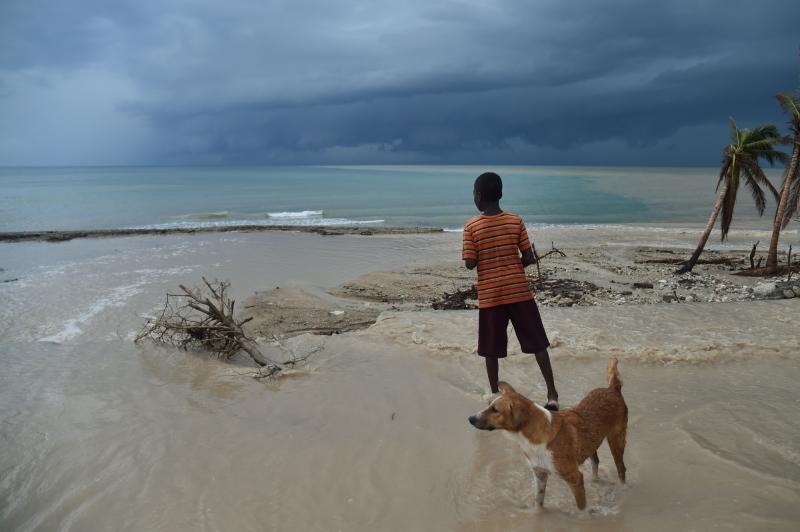 A child and a dog run along a beach in Haiti, from where health workers appear to have contracted a new coronavirus. Around the world, in Malaysia, a similar coronavirus has been found — apparently being passed to humans from dogs. A child and a dog run along a beach in Haiti, from where health workers appear to have contracted a new coronavirus. Around the world, in Malaysia, a similar coronavirus has been found — apparently being passed to humans from dogs.