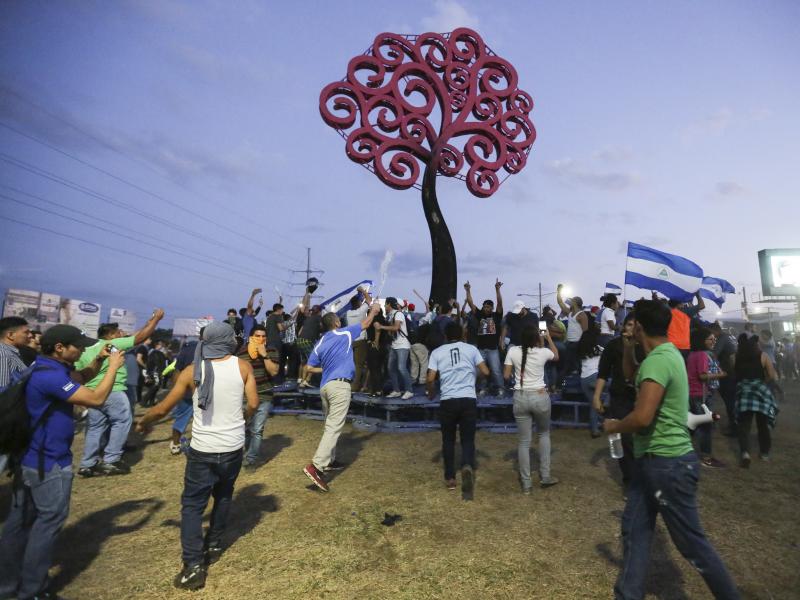 Anti-government protesters gather below the one metal tree sculpture remaining after pulling down a second one, a monument that is emblematic of the government of Nicaraguan President Daniel Ortega, at the Jean Paul Jennie round-about in Managua, Nicaragu Anti-government protesters gather below the one metal tree sculpture remaining after pulling down a second one, a monument that is emblematic of the government of Nicaraguan President Daniel Ortega, at the Jean Paul Jennie round-about in Managua, Nicaragu