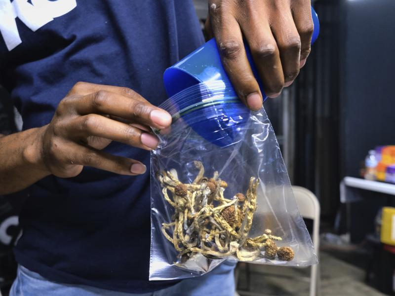 Oakland City Council has voted to decriminalize the possession and use of entheogenic, or psychoactive, plants and fungi. Oakland City Council has voted to decriminalize the possession and use of entheogenic, or psychoactive, plants and fungi.
