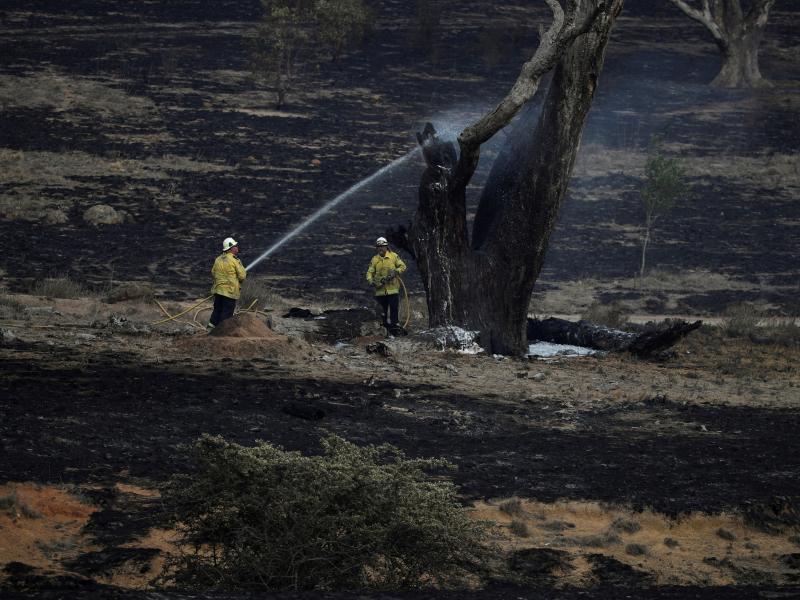 Firefighters spray water on a smoldering tree in the wake of a bushfire near Bumbalong in New South Wales, Australia. February has brought much-needed rain to the state, where fires have burned about 13.3 million acres of land. Firefighters spray water on a smoldering tree in the wake of a bushfire near Bumbalong in New South Wales, Australia. February has brought much-needed rain to the state, where fires have burned about 13.3 million acres of land.
