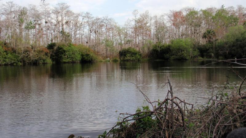 Drilling companies have new interest in southern Florida's Big Cypress preserve. The prospect of large-scale operations and possibly fracking worries environmentalists and residents. Drilling companies have new interest in southern Florida's Big Cypress preserve. The prospect of large-scale operations and possibly fracking worries environmentalists and residents.