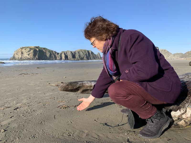 Angela Haseltine Pozzi founded Washed Ashore in 2010. The nonprofit turns plastics taken from Oregon's beaches into eye-opening sculptures of threatened marine life. Angela Haseltine Pozzi founded Washed Ashore in 2010. The nonprofit turns plastics taken from Oregon's beaches into eye-opening sculptures of threatened marine life.