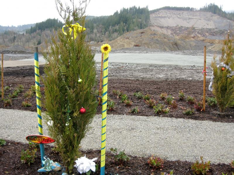 Forty-three trees now mark the area where the same number of people were killed by the mudslide. Forty-three trees now mark the area where the same number of people were killed by the mudslide.