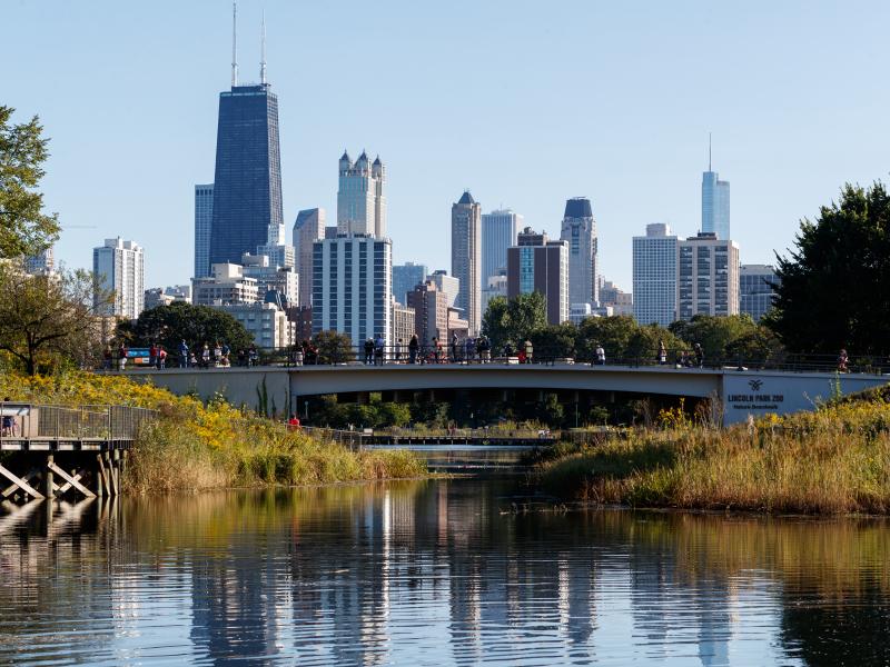 Three Chicago aldermen face criminal charges in federal court, and just since the start of 2019, nine current or former Chicago aldermen have been indicted or investigated for bribery, racketeering and tax fraud. Three Chicago aldermen face criminal charges in federal court, and just since the start of 2019, nine current or former Chicago aldermen have been indicted or investigated for bribery, racketeering and tax fraud.
