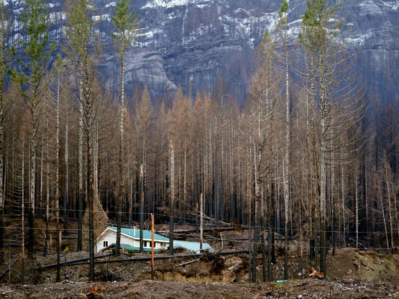 Mary Bradshaw's house in Elkhorn, Ore., in February. The fire-hardened home was one of the few that survived last year's Beachie Creek Fire in the area. Mary Bradshaw's house in Elkhorn, Ore., in February. The fire-hardened home was one of the few that survived last year's Beachie Creek Fire in the area.