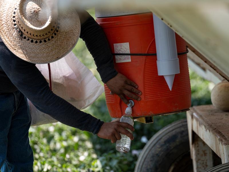 A worker fills a bottle with water on a farm during a drought in Firebaugh, Calif., on July 13. A worker fills a bottle with water on a farm during a drought in Firebaugh, Calif., on July 13.