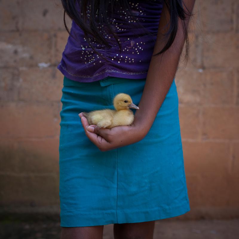 Gloria, 13, of Oaxaca, Mexico, holds a duck at home. Sexually abused by her father, she became a mother at the age of 12. Gloria, 13, of Oaxaca, Mexico, holds a duck at home. Sexually abused by her father, she became a mother at the age of 12.