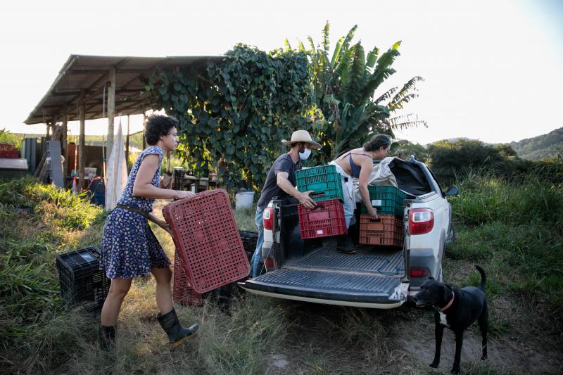 Liege Camila Pistore Veras, Rafael Duckur, and Joana Luiza Mendes (left to right) load boxes of produce into a truck at a farm outside of Sao Paulo, Brazil. This produce, and more, will be distributed in favelas, poor urban neighborhoods where residents l Liege Camila Pistore Veras, Rafael Duckur, and Joana Luiza Mendes (left to right) load boxes of produce into a truck at a farm outside of Sao Paulo, Brazil. This produce, and more, will be distributed in favelas, poor urban neighborhoods where residents l