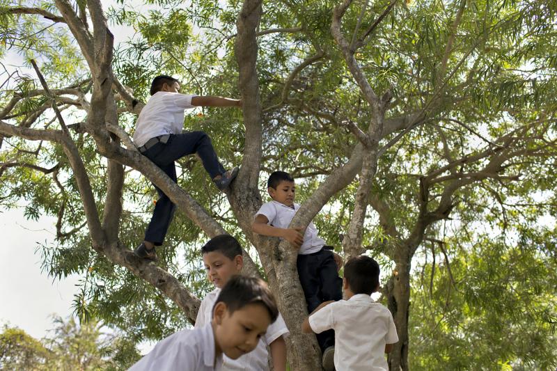 Children climb a tree on the grounds of a school in La Rivera Hernandez, a neighborhood in San Pedro Sula, Honduras, that is notorious for high levels of violence in a city that has some of the highest homicide rates in the world. Children climb a tree on the grounds of a school in La Rivera Hernandez, a neighborhood in San Pedro Sula, Honduras, that is notorious for high levels of violence in a city that has some of the highest homicide rates in the world.