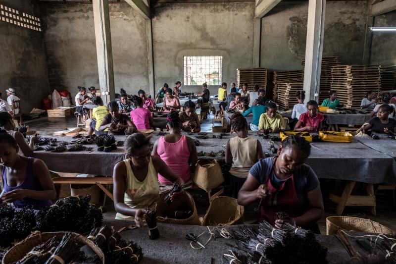 Workers sort through bundles of vanilla at the Virginia Dare warehouse in Antsirabe Nord, Madagascar. When this photo was taken last year, the warehouse contained roughly $5 million worth of vanilla. Workers sort through bundles of vanilla at the Virginia Dare warehouse in Antsirabe Nord, Madagascar. When this photo was taken last year, the warehouse contained roughly $5 million worth of vanilla.
